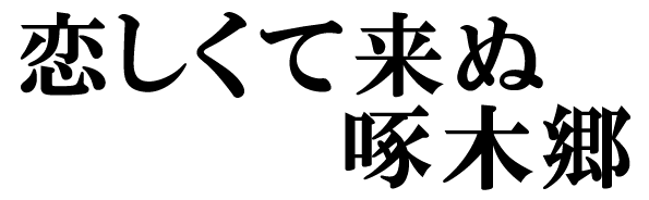 恋しくて来ぬ啄木郷